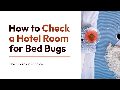 10 Simple Ways to Check a Hotel Room for Bed Bugs | The Guardians Choice