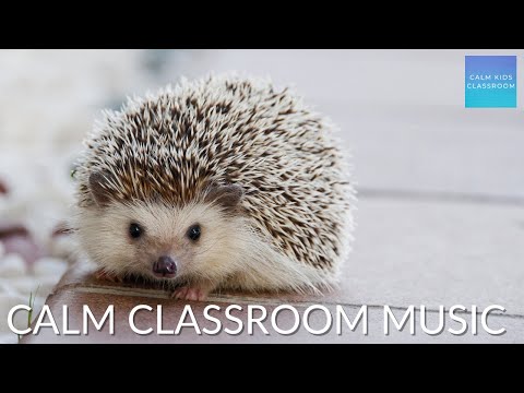 Cute hedgehogs will have your class quietly enthralled! Quiet classroom music for children.