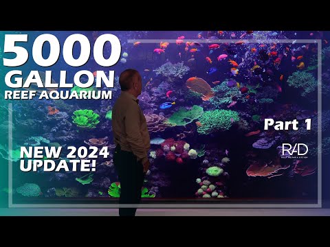 5000 GALLON REEF AQUARIUM NEW 2024 UPDATE BY REEF AQUARIA DESIGN PART 1