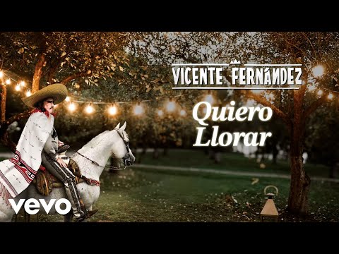 Vicente Fernández - Quiero Llorar (Letra/Lyrics)