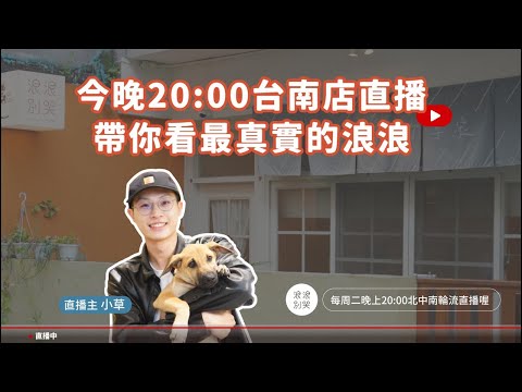 2024/10/29 等家的浪浪｜台南店