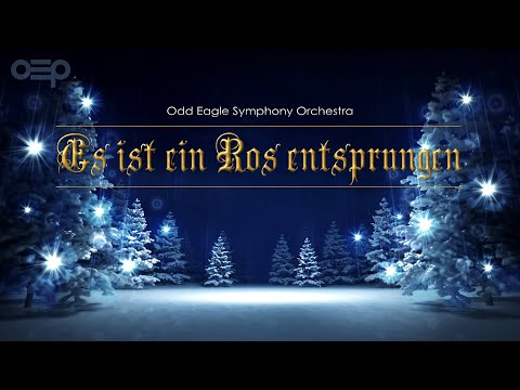 Es ist ein Ros entsprungen - Odd Eagle Symphony Orchestra | Classical Christmas Music