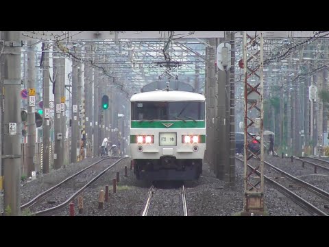 【東海道線】団体列車185系C1編成　＠辻堂駅　2024.10.5