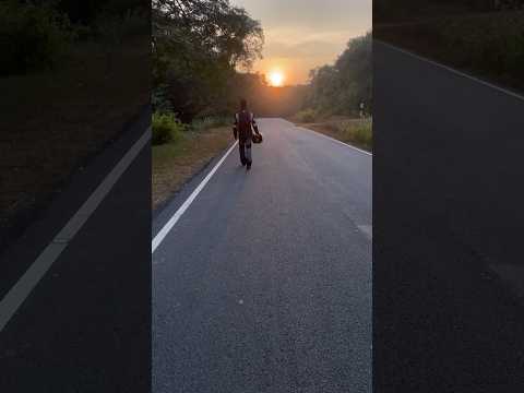 Sunset 🌅 #youtube #motovlog #youtubeshorts #shortvideo #vlog #dandeli #forest #sunset #karnataka