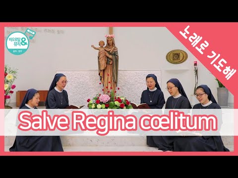 [노래로 기도해] #4. Salve Regina cœlitum 살베 레지나 첼리툼(하늘의 여왕 되시는) / 바오로딸 수녀들이 노래하는 맑고 고운 성모성가, Catholic