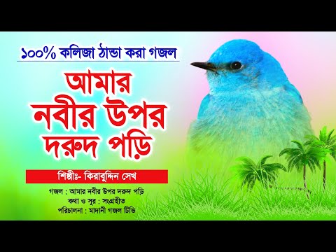 ১০০% কলিজা ঠান্ডা হবে গজলটি শুনলে | আমার নবীর উপর দরুদ পড়ি | Amar Nobir Upor Dorud Pori | Alibuddin