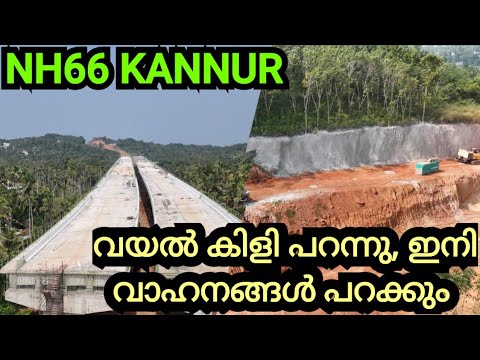 NH66 KANNUR /THALIPPARAMP BYPASS /വയൽ കിളികളെ പറപ്പിച്ചു. ഇനി വാഹനങ്ങൾ പറപ്പിക്കാം.