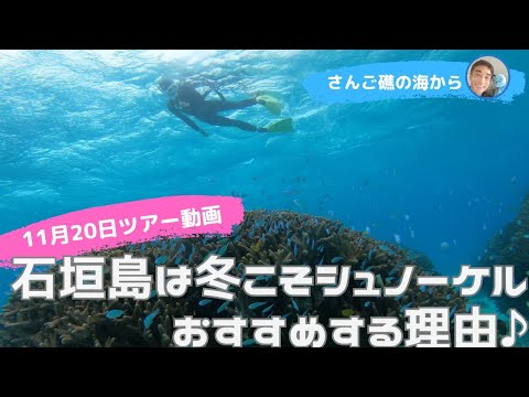 石垣島は冬こそシュノーケリング、おすすめの理由♪11月20日ツアー動画