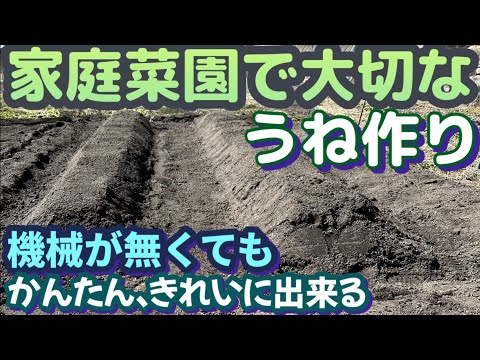 【じゃがいも畑予定地に畝を作った】畝の重要性と誰でも簡単小道具で出来るやり方