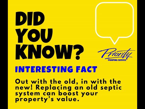 (Bulk 6) Yellow Did You Know Interesting Fact Facebook Post mp4