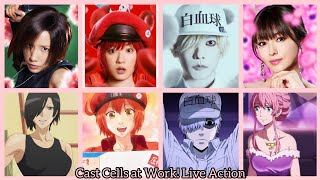 Cells at Work! (2024) Live Action Film Cast  はたらく細胞