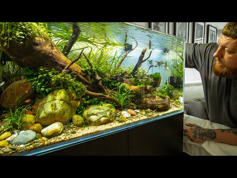 His best aquascape so far...