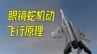 战斗机为何能竖起来飞行？揭秘眼镜蛇机动飞行原理【萌萌战队】