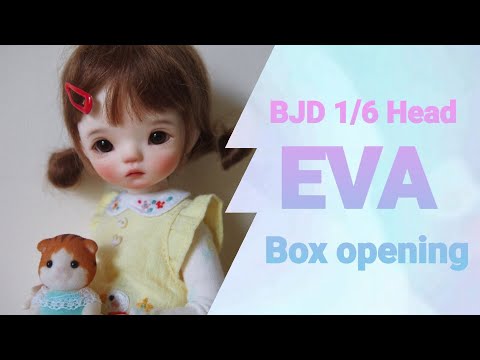 BJD 1/6 Head "EVA" Box Opening