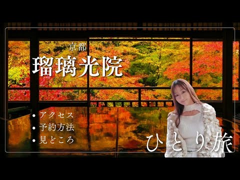 【京都 女ひとり旅】瑠璃光院 秋の紅葉/特別夜間拝観アクセス/予約方法/見どころについて