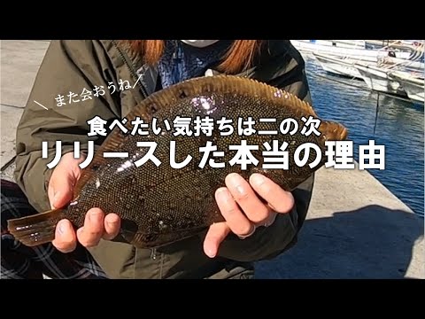 【堤防カレイ】カレイが釣れたけど逃がすことにしました。その理由は