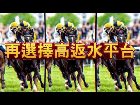 HKcasinoonline 賭馬技巧 | 賭馬技巧之位置q玩法教學