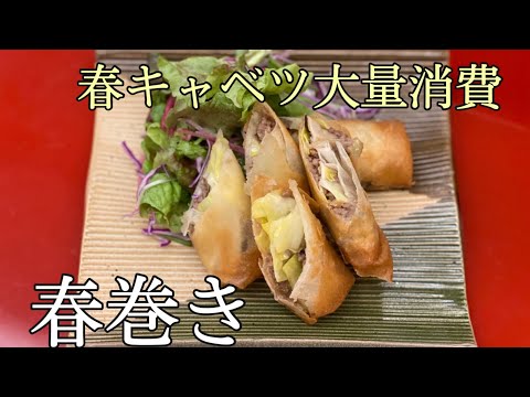 【大量消費】春キャベツの春巻き