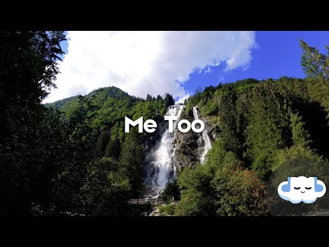 Meghan Trainor - Me Too (Lyrics)