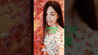 迎春花[谢彩云]， 经典新年歌曲，怀旧贺岁歌，传统新年歌曲