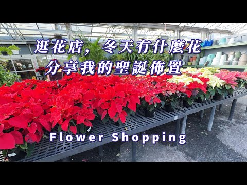 【華園花道】逛花店，看看冬天有什麼花卉｜分享我家的聖誕佈置｜What Kind Flowers In Winter｜How Is My Christmas Decoration