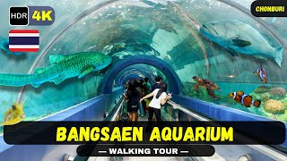 [4K] BIG TUNNEL IN AQUARIUM at BangSaen Aquarium // CHONBURI