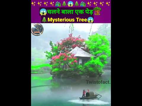 😱चलने बाला एक पेड़🌲Mysterious Tree😱 #shorts #ytshorts #facts