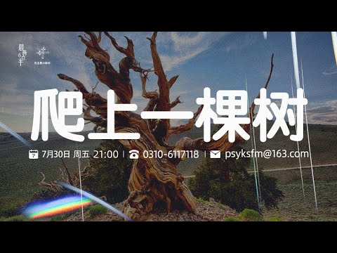 基督徒该如何爱财呢？——爬树40期（07.30）