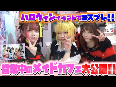 【無人カメラ×ハロウィン】営業中のメイドカフェ、5店舗に潜入してみた