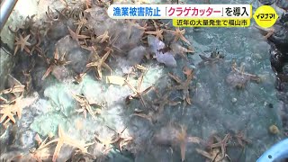 「クラゲカッター」導入　大量発生「ミズクラゲ」駆除のため　漁業被害の防止を目的に　県東部・福山市で