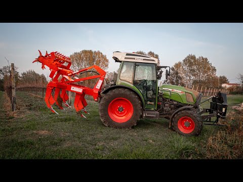 Fendt 210P Vario + Subsoiler 5 shanks F.lli Drigo