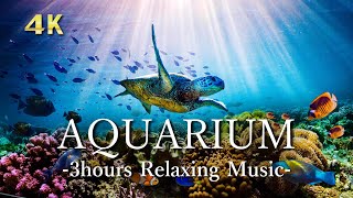 4K Aquarium Video [Relaxing Music] 🐠 Sea Animals & Coral reaf & Tropical fishes | for study, sleep