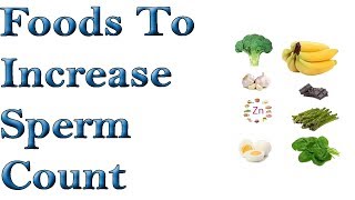 Foods To Increase Sperm Count Easily And Naturally