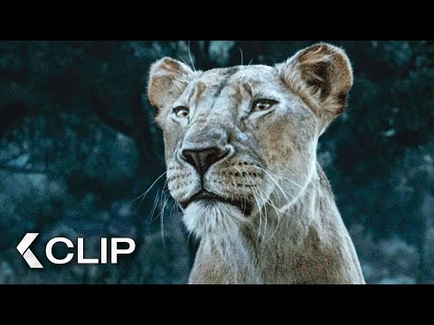 Why Are You Following Us? - MUFASA: The Lion King Clip (2024)