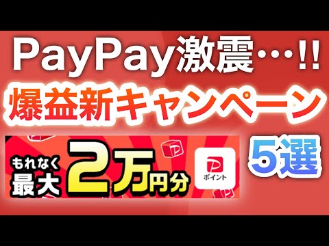 10月コレがヤバすぎる‼︎PayPay新キャンペーン5選