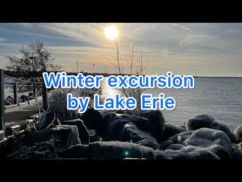 Winter excursion by Lake Erie. Mile Long Pier. Get out and walk!