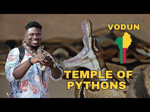 Inside the Temple of Pythons | Vodun Culture | Ouidah