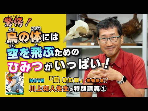 【図鑑MOVEミニ講義①】鳥の体について鳥類学者・川上和人先生が解説！