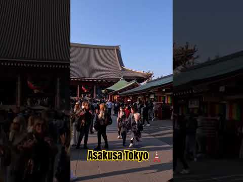 One of the most popular hotspot in Tokyo: Asakusa Sensoji #tokyowalker #4ktour  #discovertokyo