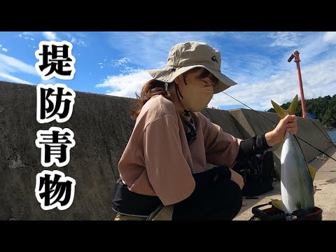 【堤防青物釣り前半戦】久しぶりの遠出で大物青物釣り｜23ディアルーナ入魂