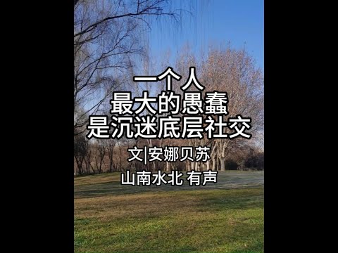 第794集一个人最大的愚蠢，是沉迷底层社交 #情感共鸣 #人生感悟 #自律 #智慧人生 #社交