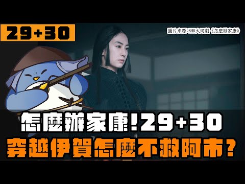 【怎麼辦家康】第29+30集 | 家康穿越伊賀？為什麼不救阿市？