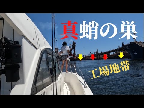 工場地帯！？今年も爆釣！東京湾のタコエギでタコ釣り！釣ったタコでたこ焼きパーティー　#タコエギ　#タコ焼き　#タコ　#タコパー