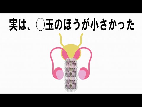 9割が知らない不思議雑学9