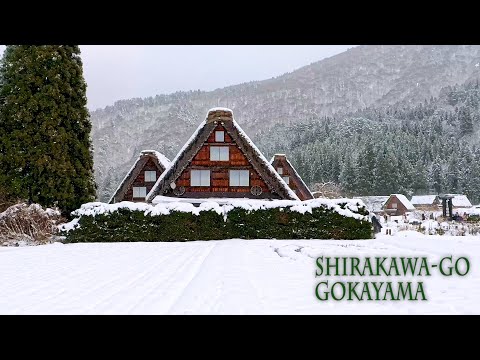 【4K HDR Snowfall】 In the Hokuriku, Chubu region, the season's first heavy snowfall has arrived.