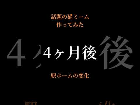 駅ホームの変化 #鉄道 #猫ミーム