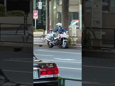 警察　警察官　#policeman #police #警察官 #警察24時 #shortvideo #japan かっこいい#イケメン #緊急出動#警察車両 #shorts #policecar