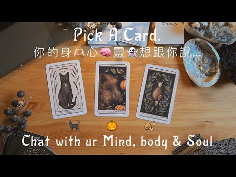 你的身心靈想跟你說...！｜Let's have a little chat with your Mind, Body and Soul｜Pick A Pile｜選牌解讀