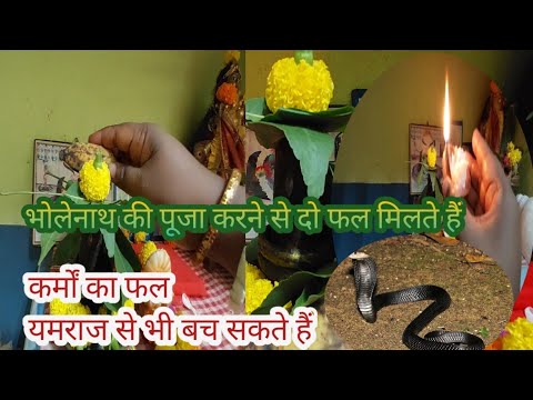 कर्मों का फल भगवान भोलेनाथ ने आज मुझे दे दिया/भोलेनाथ की पूजा#upay #vakti#sabita Lifestyle vlog