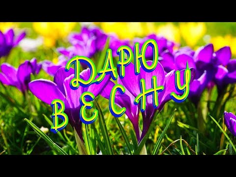 Дарю ВЕСНУ своим ДРУЗЬЯМ🌺☀️🌷